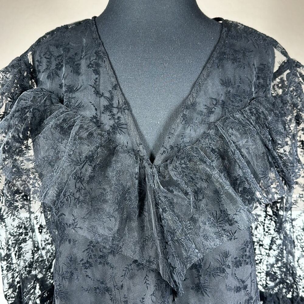 Zara Floral Tulle Ruffle Trim Blouse Top Black Sheer Velvet Lace Whimsigoth Sz L - Picture 6 of 13